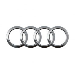 DÁN PPF NỘI THẤT AUDI