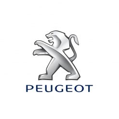 DÁN PPF NỘI THẤT PEUGEOT